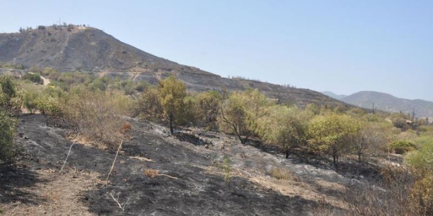 Yeşilırmakta ağır bilanço