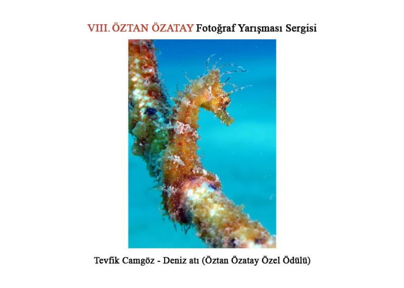 8. Öztan Özatay Fotoğraf Yarışması Sergisi 6