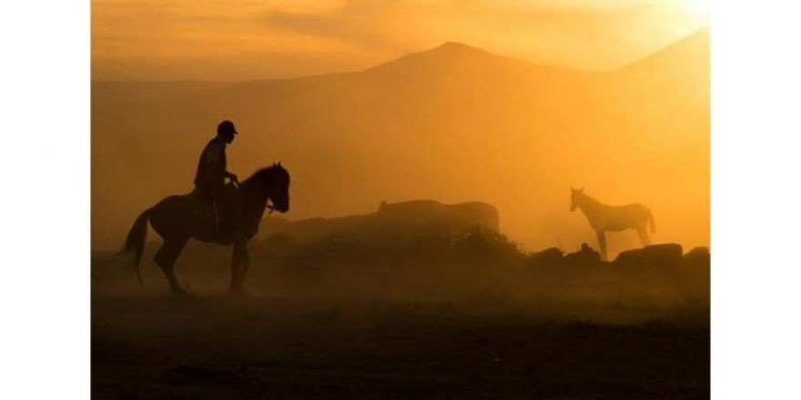8. Öztan Özatay Fotoğraf Yarışması Sergisi