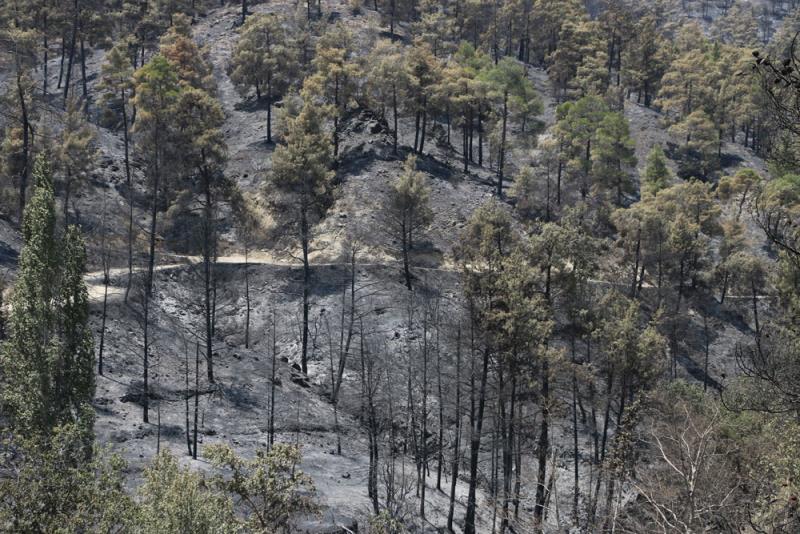 TRAJEDİYE TANIKLIK ETTİK 11