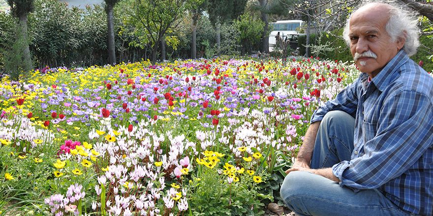 Cennetten bir parça