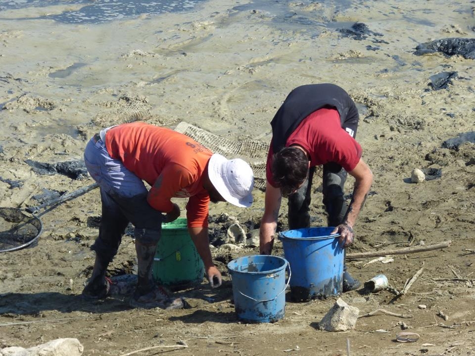 8 bin balık kurtarıldı 10