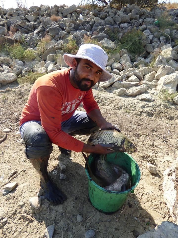 8 bin balık kurtarıldı 11