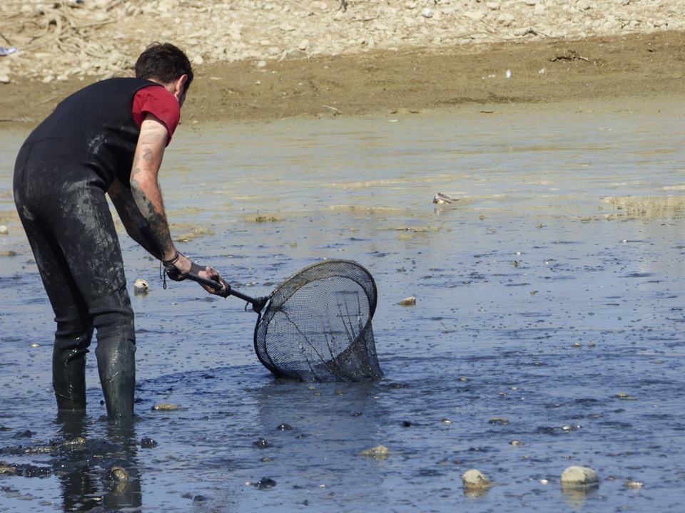8 bin balık kurtarıldı 12