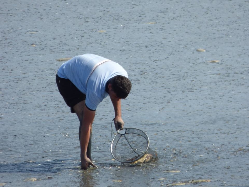 8 bin balık kurtarıldı 13