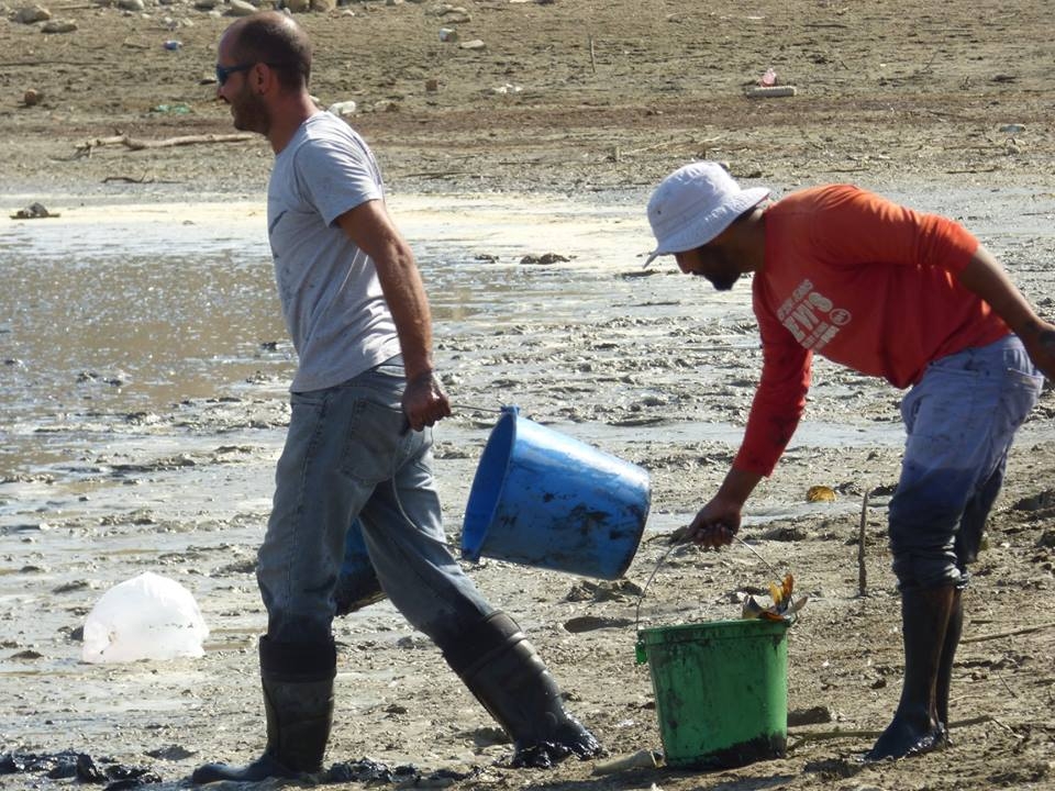 8 bin balık kurtarıldı 15