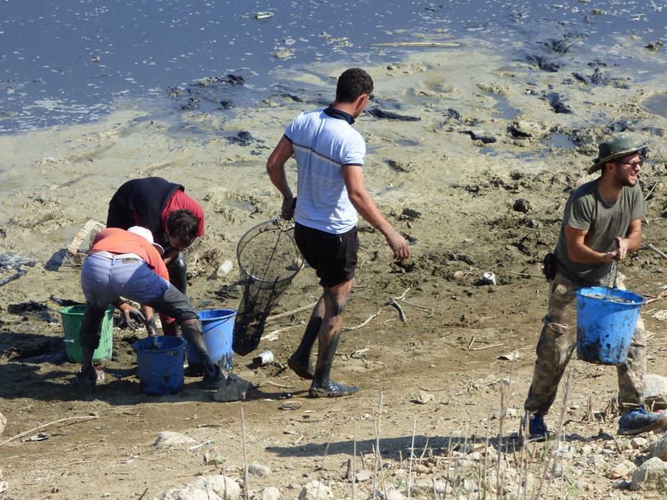 8 bin balık kurtarıldı 17