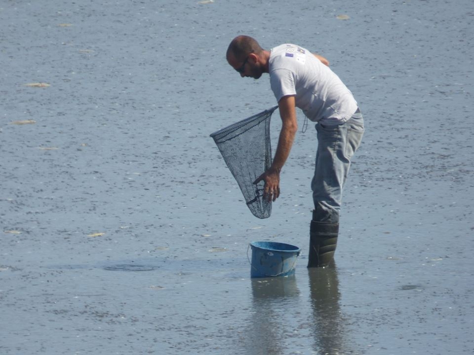 8 bin balık kurtarıldı 19