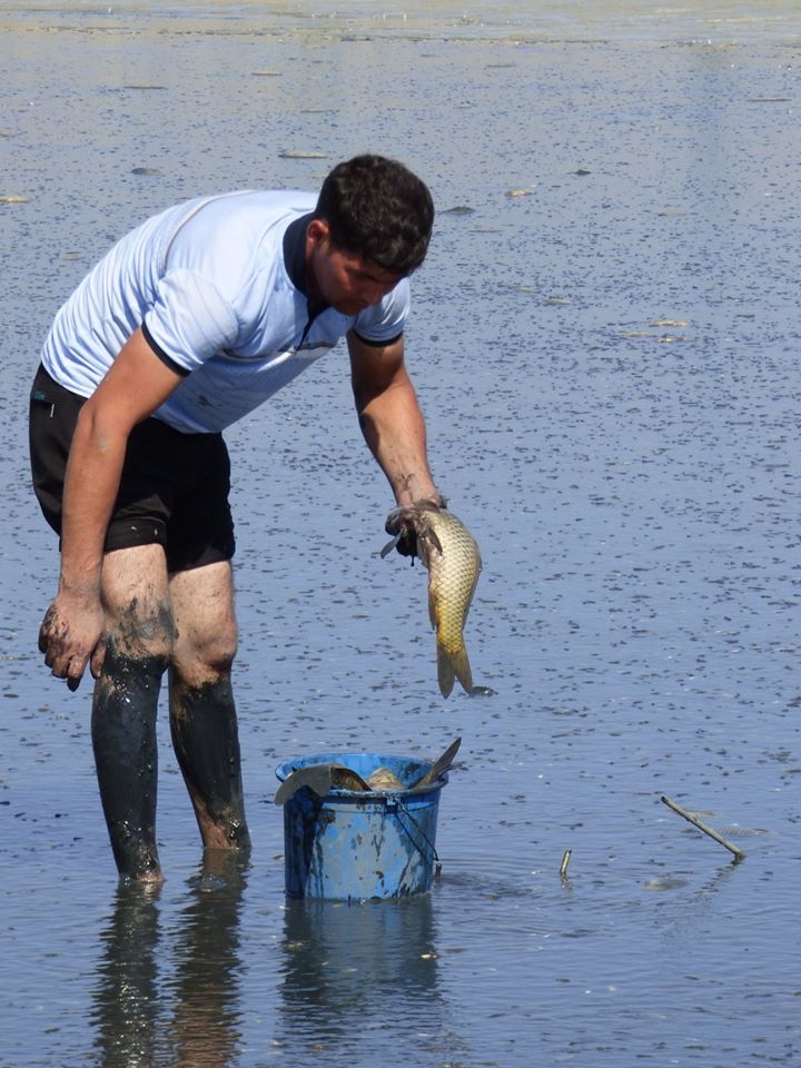 8 bin balık kurtarıldı 20
