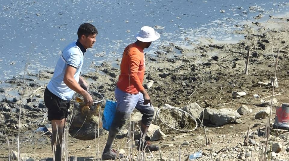 8 bin balık kurtarıldı 21