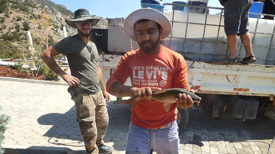 8 bin balık kurtarıldı 22