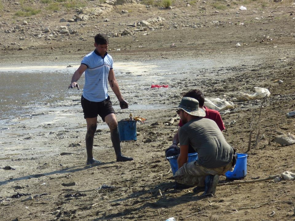 8 bin balık kurtarıldı 26