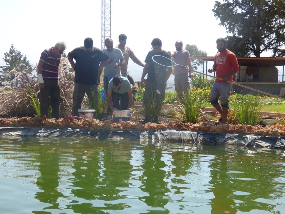 8 bin balık kurtarıldı 31