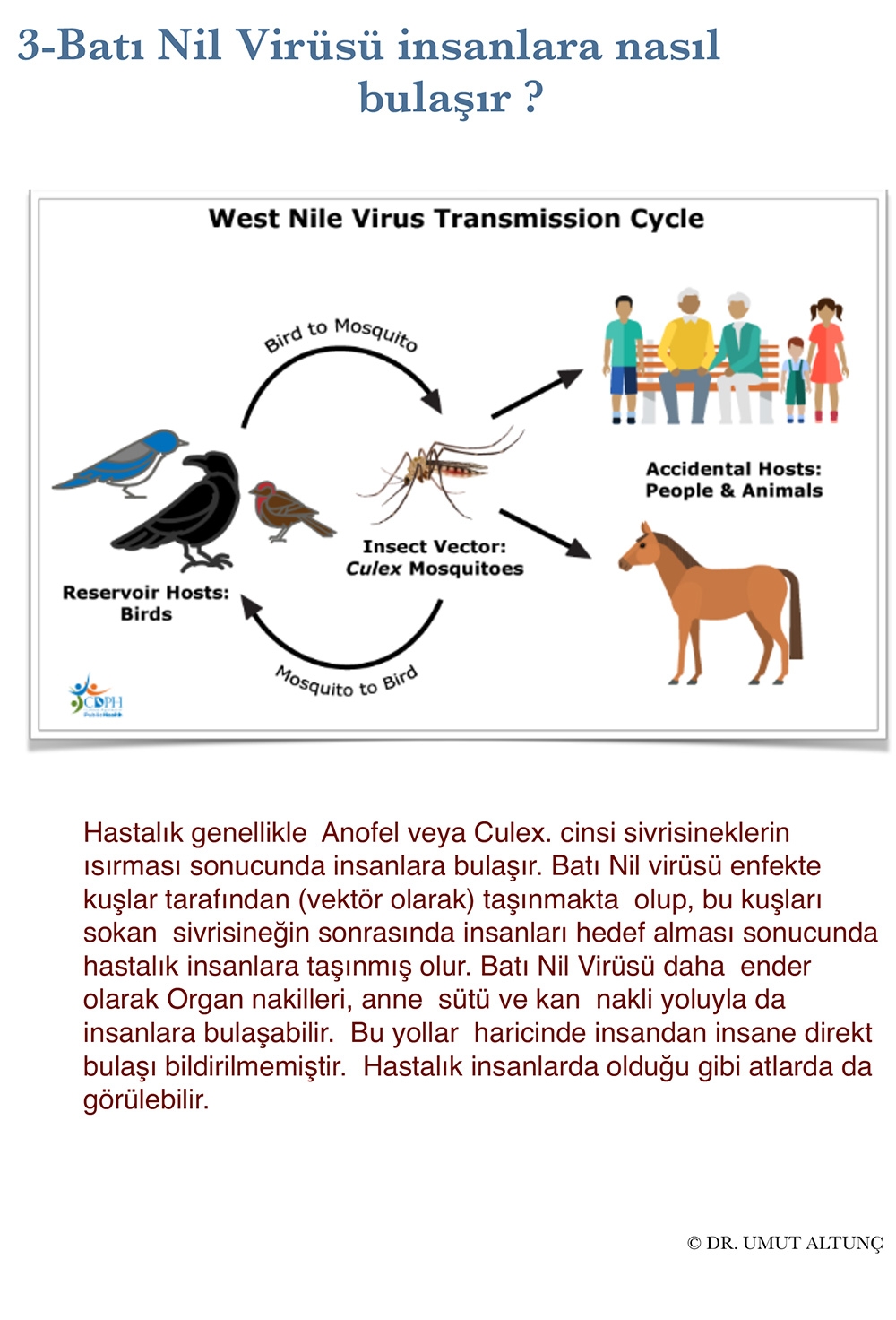 12 Soruda Batı Nil Virüsü Hastalığı 4