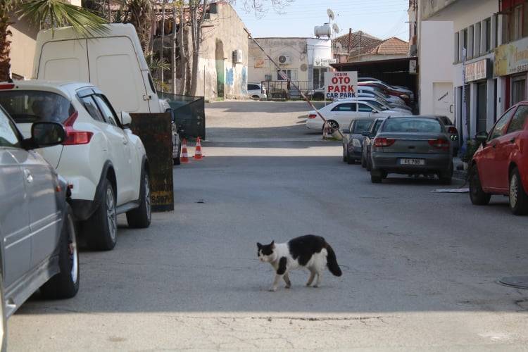 Lefkoşa ve Girne 'Kapandı' 21