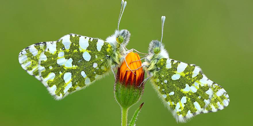 Fotoğraf yarışması sonuçlandı