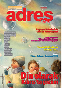 Adres Kıbrıs 294 Sayısı