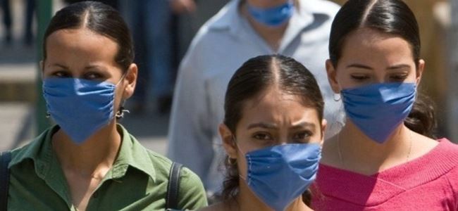 Domuz Gribi 6 can aldı