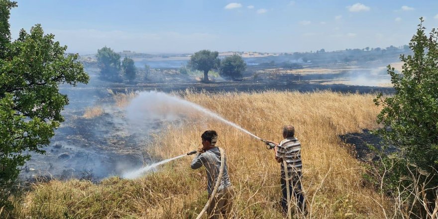 Dikmen Taşkent arasında da yangın: 800 dönüm kül doldu
