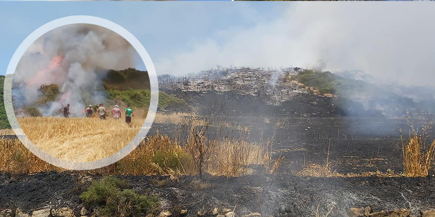 Karpaz'da 34 dönüm yandı