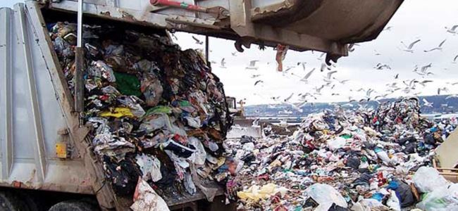 Goshide bebek cesedi bulundu