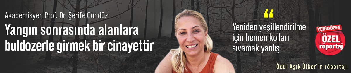 "Yangın sonrasında alanlara buldozerle girmek bir cinayettir" - Vimarsana News