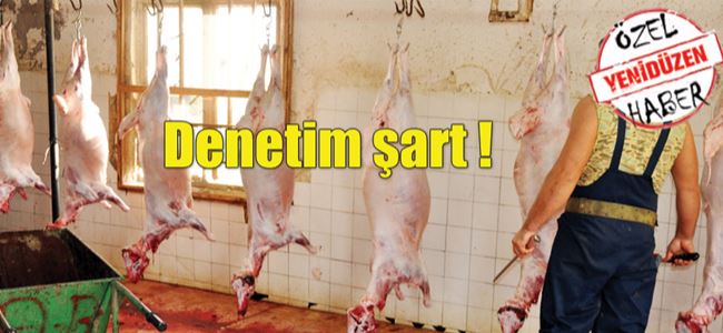 Sadece 13 mezbaha Veteriner Dairesi’ne bilgi veriyor