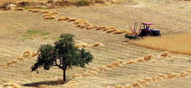 Güneyde Lübnan’dan su getirilmesi gündemde