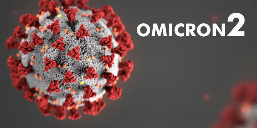 Omicron-2 güneyde de görüldü