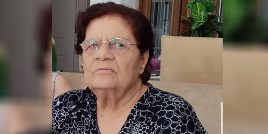 Meral Ertürk yaşımını yitirdi