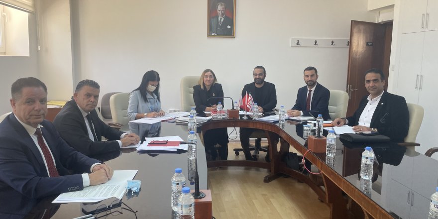 Yurttaşlık (Değişiklik) Yasa Önerisi komiteden geçti