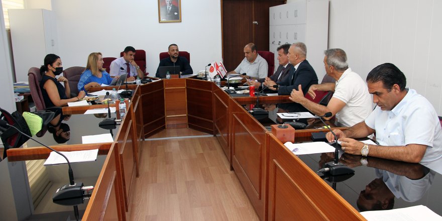 Yerel yönetimler mevzuatına ilişkin taslak rapor Danışma Kurulu’na sevk edildi