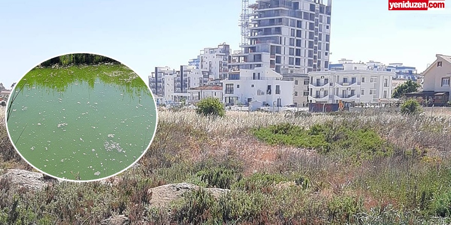 İçişleri Bakanlığı Long Beach Sahili'nin rahabilite edildiğini, plaja kirli su akıntısı olmadığını açıkladı