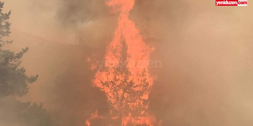 Ağıllar’daki yangında yaklaşık 200 dönümlük alan yandı