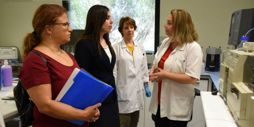 “Ülkemizde ilk kez zeytinyağı analizi devlet laboratuvarımızda yapılacak “