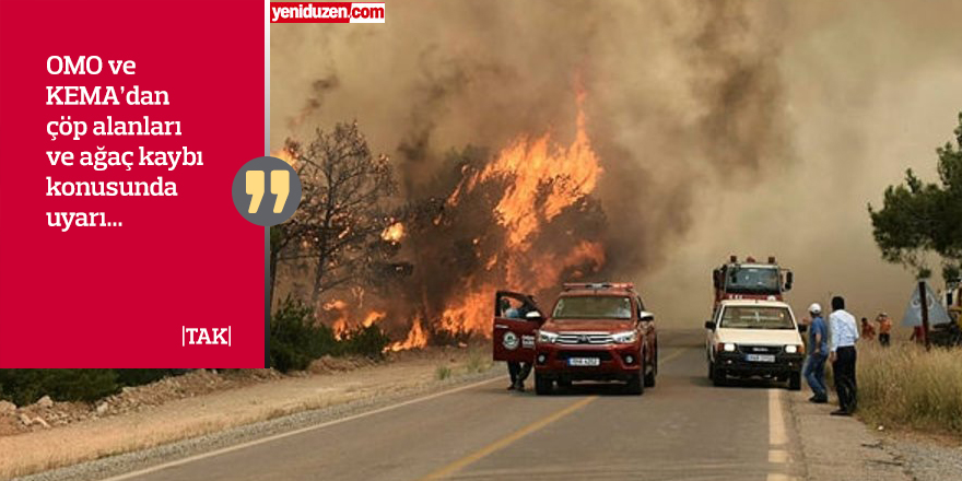 "Yanan ormanlık alanlar ağaçlandırılmıyor"
