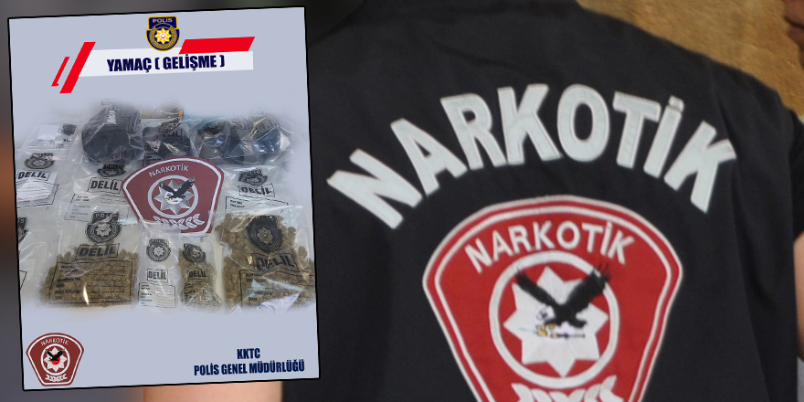 Operasyon genişledi: 300 gr hintkeneviri, 70 gr kokain daha