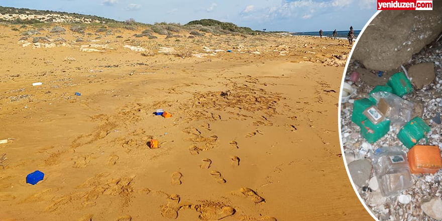 Kıbrıs’ın kuzeyindeki sahillerde 14 günde 75 kilo hintkeneviri bulundu