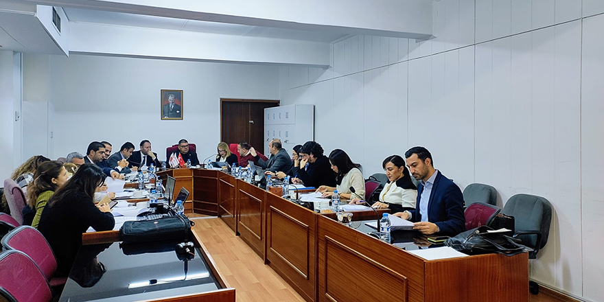 Meclis İdari, Kamu ve Sağlık İşleri Komitesi belediyelerle ilgili tasarıyı görüştü