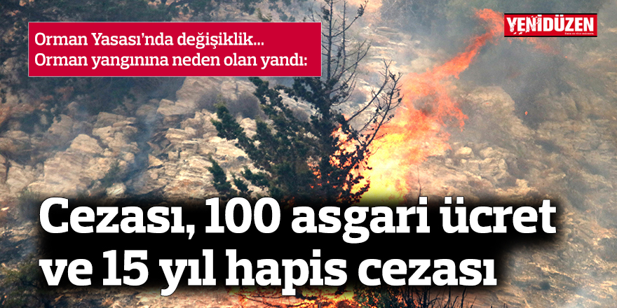 Orman yangınına neden olan yandı...  Cezası 100 asgari ücret ve 15 yıl hapis cezası…