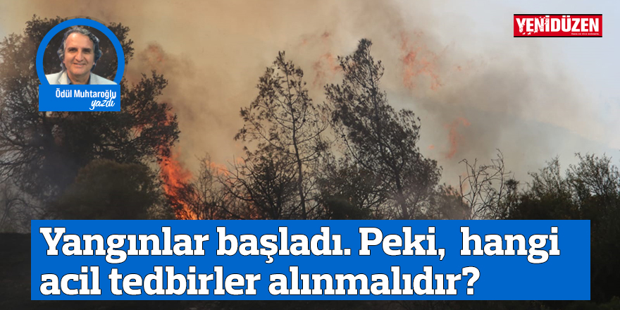 Yangınlar başladı. Peki,  hangi acil tedbirler alınmalıdır?