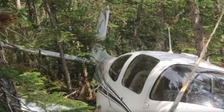 Hırvatistan'da ormanlık alanda kaybolan küçük uçağın enkazına ulaşıldı