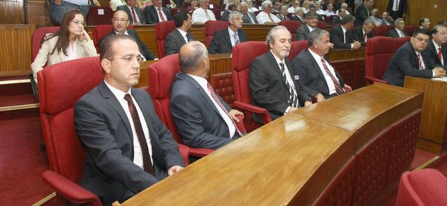 1 Yasa Tasarısı, 1 Yasa önerisine ONAY