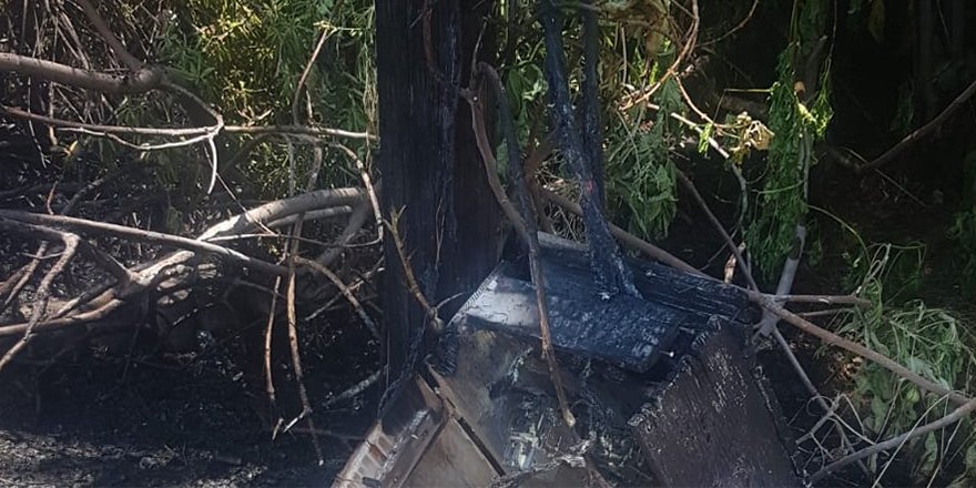 Yılan Adası’nda çıkan yangının sebebi kamyon damperinin elektrik tellerine çarpması