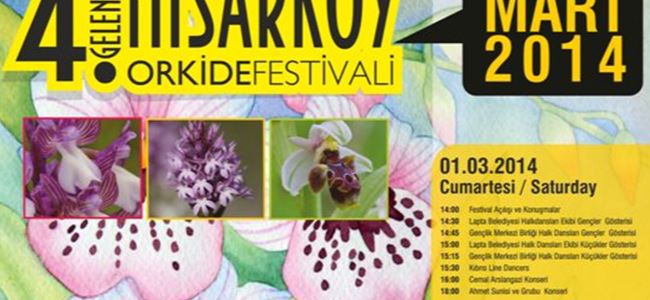 Hısarköy Orkide Festivali 1 Martta