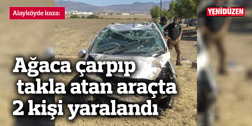 Alayköy yolunda ağaca çarpıp takla atan araçta 2 kişi yaralandı