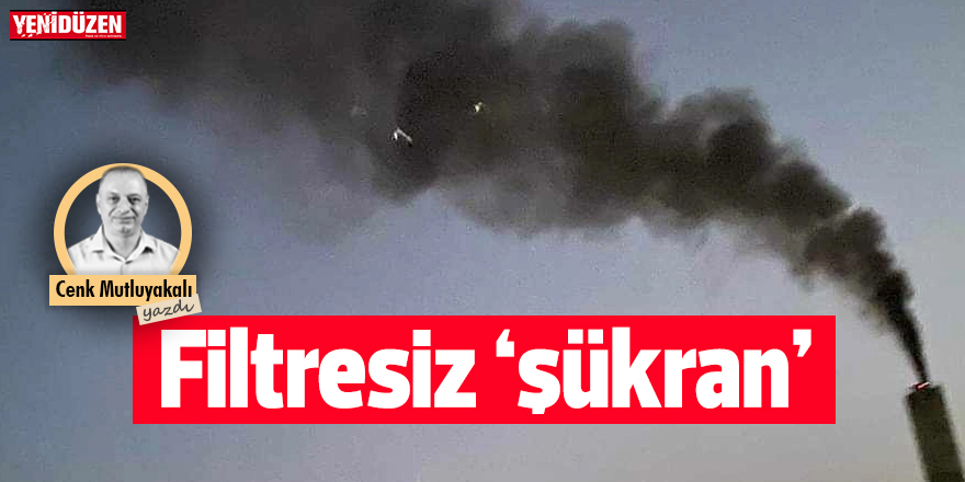 Filtresiz ‘şükran’