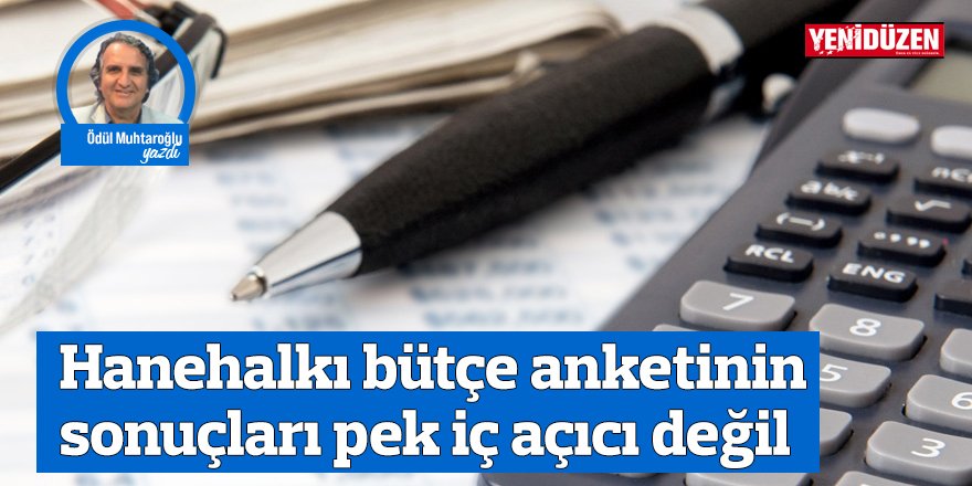 Hanehalkı bütçe anketinin sonuçları pek iç açıcı değil
