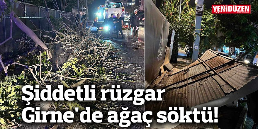 Şiddetli rüzgar Girne'de ağaç söktü!