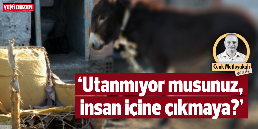 “Utanmıyor musunuz insan içine çıkmaya”